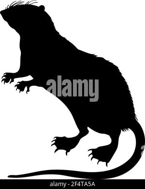 Wassertenrec Silhouette. Glatte und saubere Linien. Hohe detailreiche Wassertenrec Silhouette. Vektorgrafik. Stock Vektor