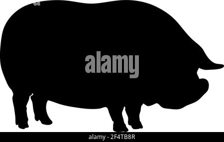 Yorkshire Schwein Silhouette. Glatte und saubere Linien. Hohe Detailform. Vektorgrafik. Stock Vektor