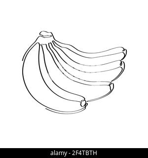 Die Bananen werden von einer durchgehenden Linie auf weißem Hintergrund isoliert gezeichnet. Vektorgrafik für Aktien Stock Vektor