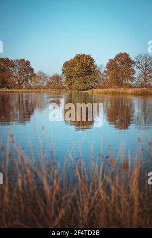 Kleiner See im Herbst oder Herbst mit einer schönen Reflexion und blauen Himmel. Dies ist im Kampsheide Naturgebiet in Drenthe, Niederlande Stockfoto