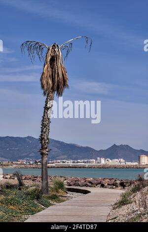 Almazora Strand (Almassora) in der Provinz Castellon, Autonome Gemeinschaft Valencia, (Comunitat Valenciana) Spanien, Europa. Stockfoto