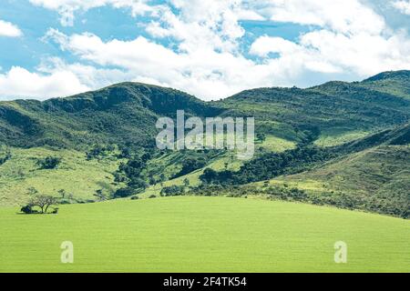 Schöne Landschaft von einem Bauernhof Feld in der Nähe der Hügel, grünes Feld an einem blauen Himmel Tag. Landschaft der Canastra Sierra bei São Roque de Minas, MG, Stockfoto