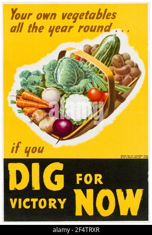 Britisch, WW2, Lebensmittelproduktion: Graben für Sieg - Ihr eigenes Gemüse das ganze Jahr über, Poster, 1942-1945 Stockfoto