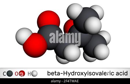 Beta-Hydroxy Beta-Methylbutyronsäure, HMB, Beta-Hydroxyisovalerinsäure-Molekül. Es ist ein Indikator für Biotin-Mangel, Leucin-Metabolit. Molekularer m Stockfoto