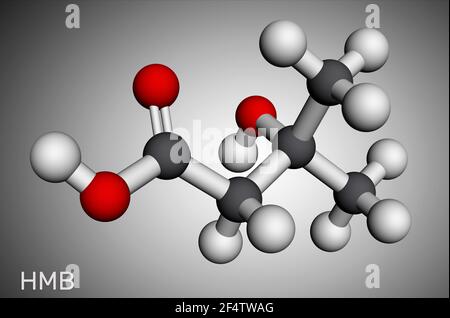 Beta-Hydroxy Beta-Methylbutyronsäure, HMB, Beta-Hydroxyisovalerinsäure-Molekül. Es ist ein Indikator für Biotin-Mangel, Leucin-Metabolit. Molekularer m Stockfoto