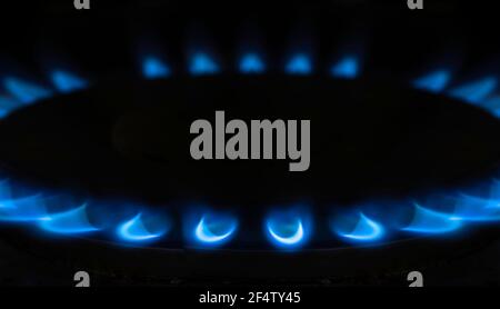 Gasbrenner mit blauem Erdgas auf schwarzem Hintergrund im Küchenofen. Konzentriere dich auf die Flammen vorne Stockfoto