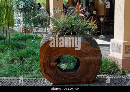 Baumstamm Pflanzenhalter; Ringe sichtbar; Holz; einzigartig; Kiesweg; Textures, Florida; Bok Tower Gardens; Lake Wales; FL; Feder Stockfoto