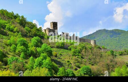 12th. Jahrhundert Ruine Hinterhaus in der Wachau in Niederösterreich Stockfoto