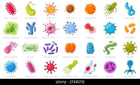 Cartoon-Viren und Mikroben. Krankheitserreger, Coronavirus und Rotavirus. Bakterielle Infektion Mikroorganismen Vektor Illustration Symbole gesetzt Stock Vektor