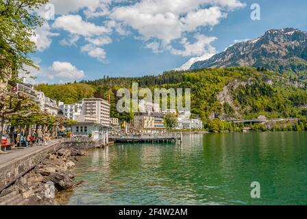 Seeufer von Brunnen, am Nordufer des Vierwaldstättersees, Schweiz Stockfoto