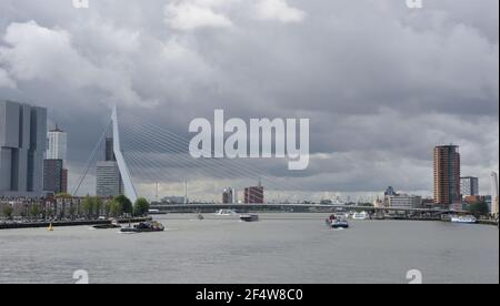 Neue Maas Rotterdam, Niederlande Stockfoto