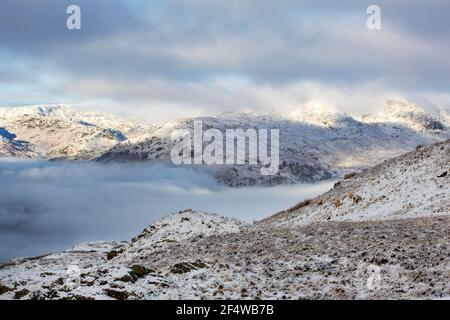 Schafe in nebligen Bedingungen auf Wansfell über Ambleside, Lake District, Großbritannien, Blick in Richtung Fairfield. Stockfoto