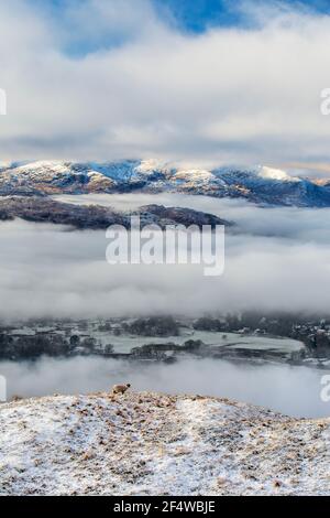 Neblige Bedingungen auf Wansfell über Ambleside, Lake District, Großbritannien, Blick durch Wetherlam. Stockfoto