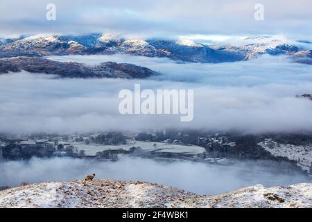 Neblige Bedingungen auf Wansfell über Ambleside, Lake District, Großbritannien, Blick durch Wetherlam. Stockfoto