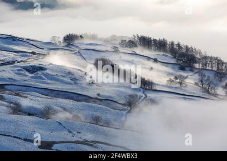 Ein Schaf in nebligen Bedingungen auf Wansfell über Ambleside, Lake District, Großbritannien, Blick nach unten in Richtung Windermere. Stockfoto