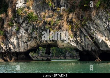 Tourist in der Luon-Höhle von Halong Bay in Vietnam Stockfoto