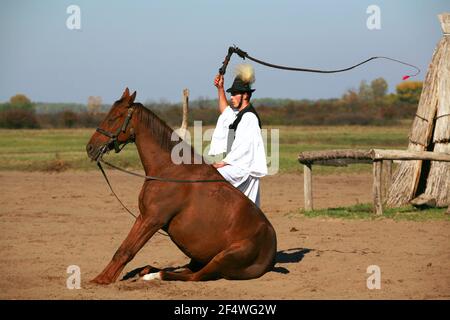 PUSZTA, UNGARN, SEPTEMBER 04. 2020: Ungarische Hirten als Csikos in traditioneller Tracht, die seine ausgebildeten Pferde in der ungarischen Puszta zeigen Stockfoto