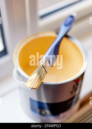 Pinsel auf geöffnetem Zinn auflegen Stockfoto