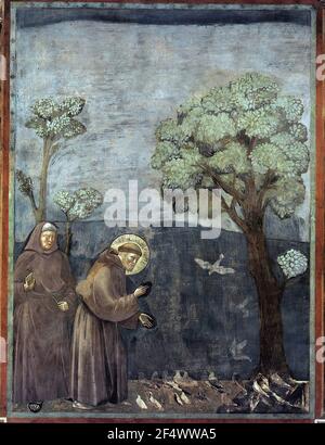 Giotto di Bondone - Hl. Franziskus Predigt den Vögeln 1299 Stockfoto