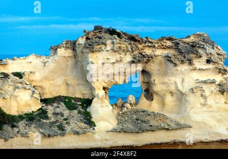 Nahaufnahme eines Teils des oberen Abschnitts der Loch ARD Gorge, Port Campbell National Park, Victoria, Australien Stockfoto