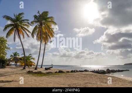 Pointe Marin Beach, Sainte-Anne, Martinique, Französische Antillen Stockfoto