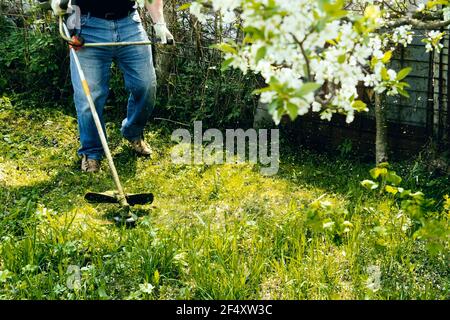 Der Mensch mäht im Garten einen frühlingsgrünen Rasen mit Löwenzahn. Löwenzahn und andere Unkräuter im Hof trimmen. Eine überwucherte Hinterhof-Lichtung mit Pinsel Stockfoto