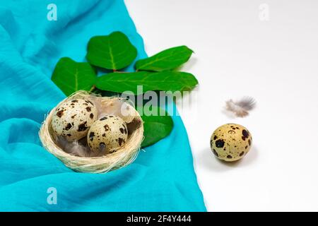 Osterkupplung mit Wachteleiern in einem Vogelnest mit Leinentuch. Osterdekoration im Frühling. Stockfoto