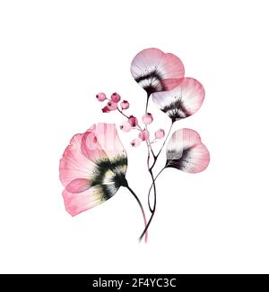 Aquarell Vintage Bouquet. Transparente Anemone Blume mit Blättern. Handbemalte botanische Kunst. Isolierte florale Illustration in pastellrosa, lila Stockfoto