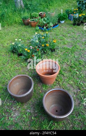 Blumentöpfe und Pflanzen Stockfoto