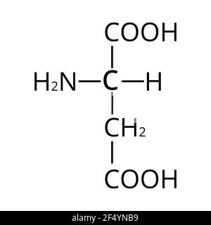 Asparaginsäure ist eine Aminosäure. Chemische Molekülformel Asparinsäure ist eine Aminosäure. Vektorgrafik auf isoliertem Hintergrund Stock Vektor