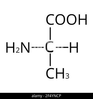 Alanin ist eine Aminosäure. Chemische molekulare Formel Alanin Aminosäure. Vektorgrafik auf isoliertem Hintergrund Stock Vektor