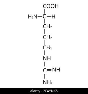 Arginin-Aminosäure. Chemische molekulare Formel Arginin Aminosäure. Vektorgrafik auf isoliertem Hintergrund Stock Vektor