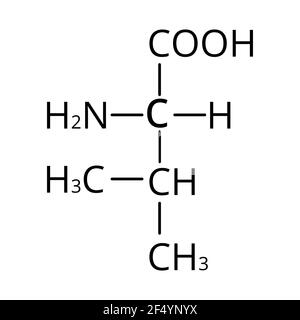 Valin-Aminosäure. Chemische Molekülformel der Valin-Aminosäure. Vektorgrafik auf isoliertem Hintergrund Stock Vektor