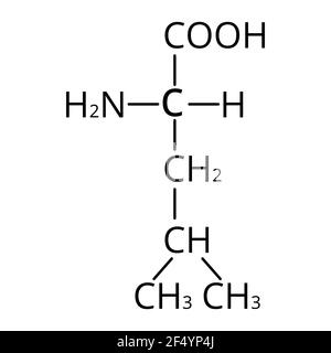 Aminosäure Leucin. Chemische molekulare Formel von Aminosäure Leucin. Vektorgrafik auf isoliertem Hintergrund Stock Vektor