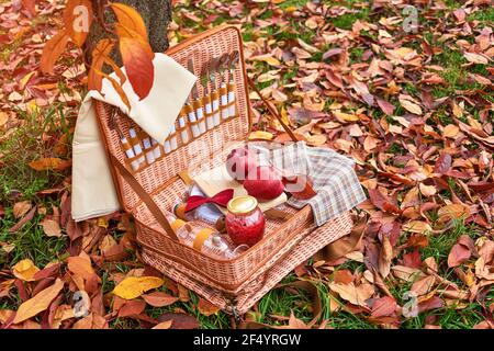 Picknickkorb im Herbstpark. Weidenkorb mit Äpfeln und Konfitüre auf goldenen Herbstblättern im Wald, romantisches Date. Stockfoto