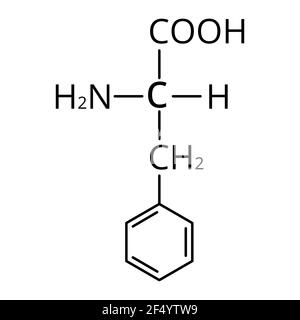 Phenylalanin ist eine Aminosäure. Chemische Molekülformel Phenylalanin Aminosäure. Vektorgrafik auf isoliertem Hintergrund Stock Vektor