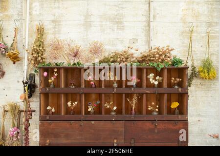 Getrocknete Blumen auf dem Display in Holzschrank im Geschäft Stockfoto