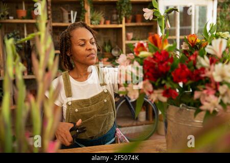 Weibliche Floristen arrangieren Blumen im shop Stockfoto