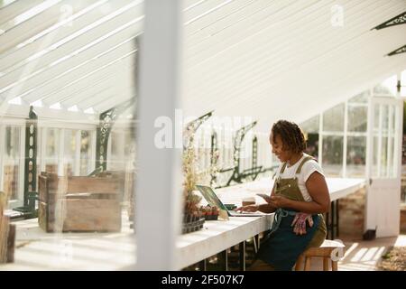 Weibliche Gartengeschäft Besitzer arbeiten am Laptop im Gewächshaus Stockfoto