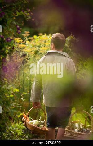 Mann mit Körben Ernte frisches Gemüse im Sommergarten Stockfoto