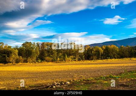 Landschaft in der Herbstsaison Stockfoto