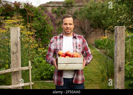 Portrait stolzer Mann mit Kiste geernteter Äpfel im Garten Stockfoto