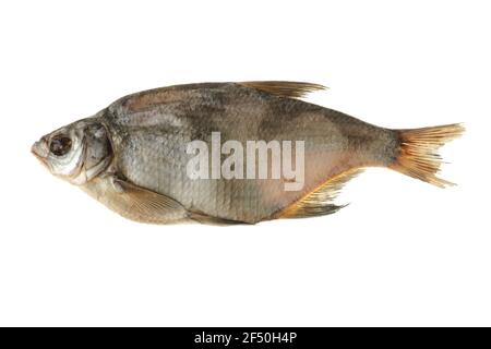 Fisch, getrocknete Brassen, auf weißem Hintergrund isoliert Stockfoto