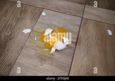 Frisches zerbrochenes Ei auf dem Küchenboden. Ei fallen gesprungen und liegen auf Fliesenboden. Stockfoto