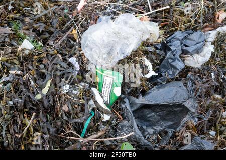 Plastikmüll gemischt mit Algen am Strand in Arrochar, Loch Long, Schottland, Großbritannien Stockfoto