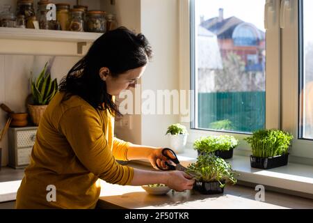 Frau schneidet Mikrogemüse in der Küche am Morgen Stockfoto