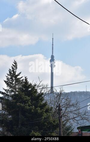 Landschaft und Blick auf den Turm auf Avala in der Nebel Stockfoto