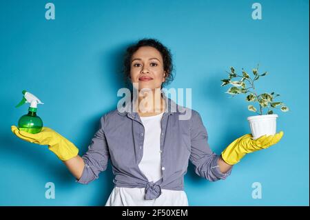 Junge lateinamerikanische Frau Gärtner posiert mit Indoor-Pflanzenspray und Topf mit kleinen Hausbaum auf blauem Hintergrund. Speicherplatz kopieren. Stockfoto