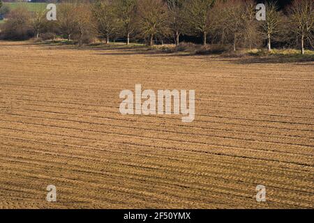 Pflügefeld, Muster, gerade Furchen, Boden, Saatbett, Boden, gesät, geerntet, Landwirtschaft, künstlerische Linien, Pflanzen, Anbau, Pflügen, Samenlinien Stockfoto