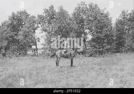 Zweiter Weltkrieg. Bilder auf der Vorderseite. Russland, Oblast Twer. Bieters Angehörige der deutschen Wehrmacht vor einem Wiesenrain Stockfoto
